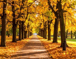 Auntum park alley with tall trees and vibrant orange foliage, fallen leaves covering the pathway, serene and atmospheric fall landscape