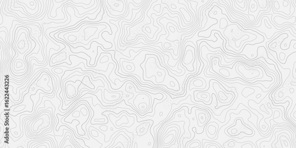 Poster abstract digital style topographic wave map lines pattern white background creating a minimal design