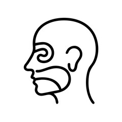 vector illustration of a head silhouette