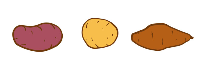 Potato tubers set. purple-skinned potato, a yellow potato, brown sweet potato, each outlined in earthy brown isolated on white background for culinary, menu, recipe
