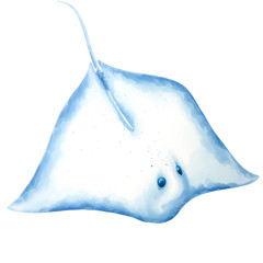 Illustration of a blue stingray isolated on a white background.