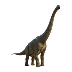 Obraz premium Big Brachiosaurus or Brontosaurus On Transparent Background PNG Generative AI