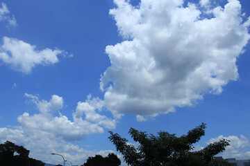 Cluster of cloud on blue sky at noon.