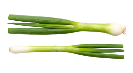 Isolated Fresh Green Onions