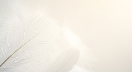 Soft light illuminating delicate white fabric folds
