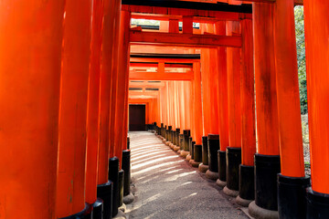 Scenic view of Fushimi Inari shrine with vibrant holy torii gate tunnel in Kyoto, Japan. Sacred...