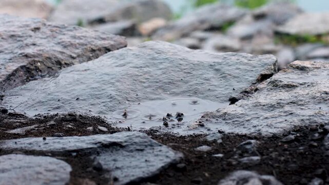 A water droplet splashes along the Buda Madmaheshwar Temple trail, Rudraprayag, Uttarakhand, India.