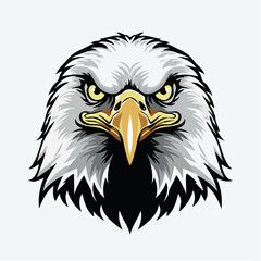 Obraz premium eagle's face