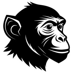 Monkey Head Illustration