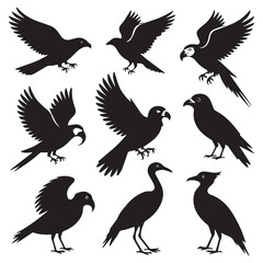 Obraz premium Collection of bird silhouettes isolated on white background, showcasing various species in flight and perched positions