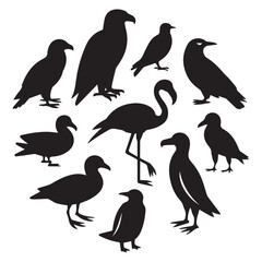Naklejka premium Silhouette of various bird species isolated on white background, showcasing a diverse collection of avian creatures in a minimalist design