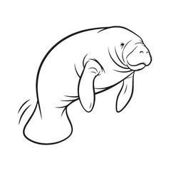 Marine Manatee Line Art – Manatee Vector Clean Drawing with Smooth Contours – Manatee Drawing – Vector of Manatee – Manatee Outline


