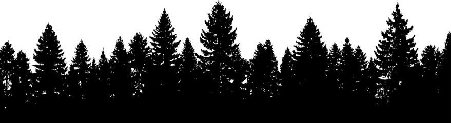 Conifer Forest Silhouette Border Vector