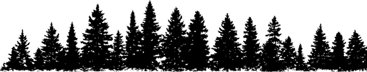Conifer Forest Silhouette Border Vector