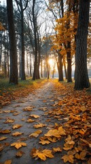 Autumn path bathed in golden sunlight through trees