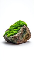 Moss covered rock on a white background