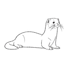 Stylish Mink Line Art – Mink Vector Illustration Sleek Drawing with Clean Wildlife Silhouette – Mink Drawing – Line Art Drawing of Mink – Mink Icon

