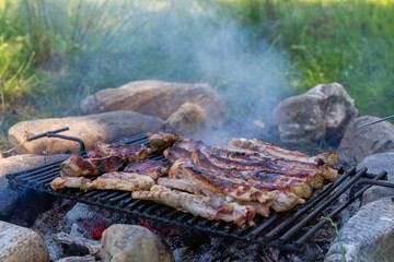 grilled meat at a picnic in nature.