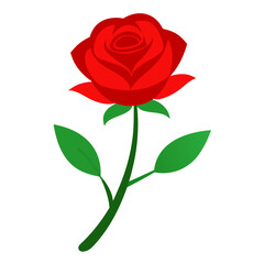 Single red rose icon on white background.