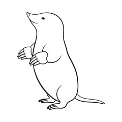 Stylized Mole Line Art – Mole Vector Illustration Artistic Drawing with Unique Proportions – Mole Drawing – Line Art Drawing of Mole – Mole Icon

