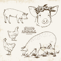 Hand-drawn set in vintage style with pig, piglet and chickens on a light background with texture.