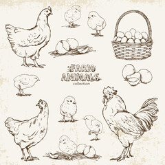 Hand-drawn set in vintage style with chickens, chicks, eggs and a rooster on a light background with texture.