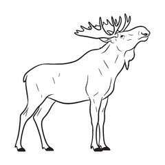 Minimal Moose Line Art – Moose Vector Illustration Elegant Drawing with Long Leg Proportions – Moose Drawing – Line Art Drawing of Moose – Moose Icon

