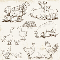 Hand-drawn set in vintage style with farm animals and birds on a light textured background.