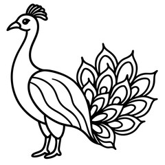 Obraz premium peacock 