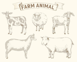farm animals collection