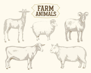 farm animals collection vector