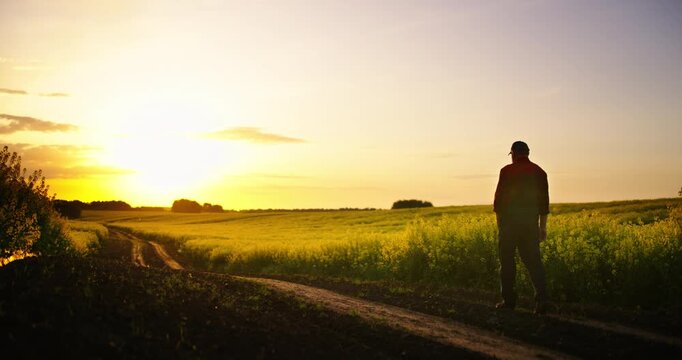 Beautiful Rural Scenery, Elderly Farmer Walking Alone In Farmland, Cinematic Slow Motion Shot
