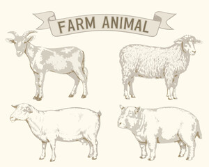 farm animals collection