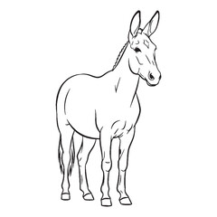 Contemporary Mule Line Art – Mule Vector Illustration Minimal Drawing with Simplified Hybrid Shape – Mule Drawing – Line Art Drawing of Mule – Mule Icon

