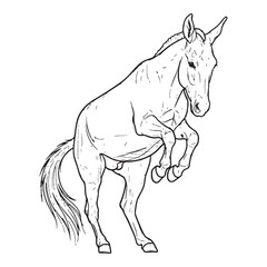 Minimal Mule Line Art – Mule Vector Illustration Modern Drawing with Balanced Hybrid Stance – Mule Drawing – Line Art Drawing of Mule – Mule Icon

