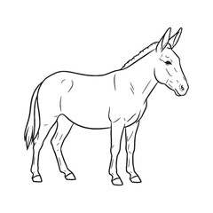 Strong Mule Line Art – Mule Vector Smooth Outline Drawing with Sturdy Muscular Form – Mule Drawing – Vector of Mule – Mule Outline

