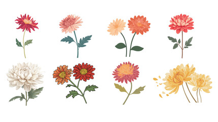 Minimalist Chrysanthemum Flower Vector – Elegant Line Art Illustration on White Background