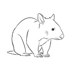 Modern Numbat Line Art – Numbat Vector Illustration Drawing with Simplified Exotic Body – Numbat Drawing – Line Art Drawing of Numbat – Numbat Icon

