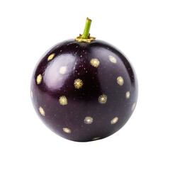 Single jabuticaba fruit with yellow spots on black background