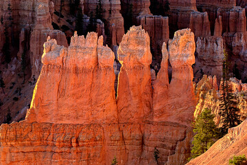 Hoodoos at Bryce Point, Bryce Canyon Utah USA