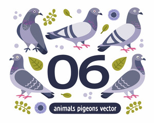 Naklejka premium set of birds