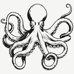 octopus sketch illustration vector