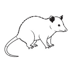 Focused Opossum Line Art – Opossum Vector Clean Drawing with Detailed Eyes and Muzzle – Opossum Drawing – Black Vector of Opossum – Opossum Outline

