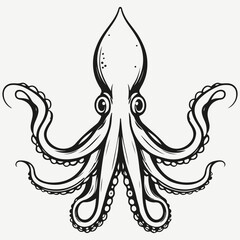 squid sketch illustration vector