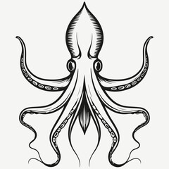 squid sketch illustration vector