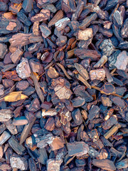 Playground Bark Chips Forming Natural Ground texture