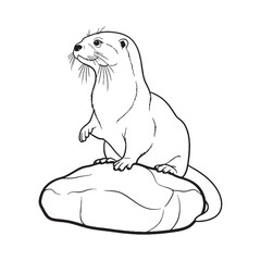 Curious Otter Line Art – Otter Vector Artistic Drawing with Soft Face Features – Otter Drawing – Black Vector of Otter – Otter Outline

