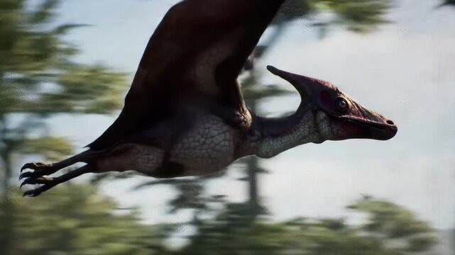 Pteranodon Banking Left with Sleek Dark Plumage Against Blurred Green Forest Detailed View of Prehistoric Reptile in Motion and Pale Sky