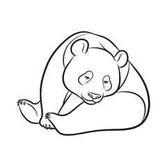 Friendly Panda Line Art Drawing – Panda Vector Illustration Fine Drawing with Rounded Gentle Look – Panda Drawing – Line Art Drawing of Panda – Panda Icon

