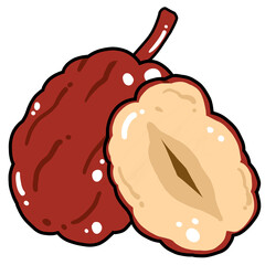 대추일러스트 그래픽요소